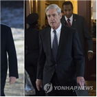 특검,수사,변호사