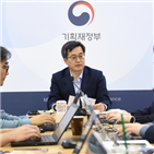 원칙,정부,한국,부총리,정상화,실사