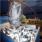 수입금지,후쿠시마