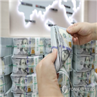 국채,부채,비용,발행,회원국