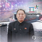 고위급대표단,김영철,부위원장,북한