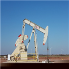 상승,동반,이날