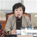 행정관,대표,평화