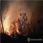 산불,발생,화재,건조한