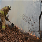 산불,들불,가장