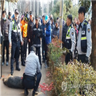 셰퍼드,경찰,소형견