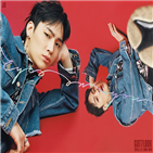 앨범,티저,개인,타이틀곡