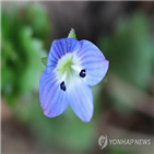 지역,전국,2.1,0.7