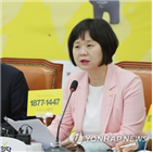 한반도,대북특사단,대표