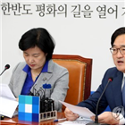 대통령,국회,개헌안,발의,개헌,한국당,합의,지방선거