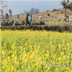 국내여행,가장,해외여행,소비자