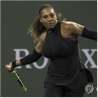 윌리엄스,대회,투어