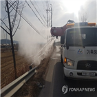 폐사체,고병원성,해제