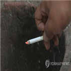 폐암,사실,담배,위험