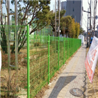 설치,학교,운영,시범학교