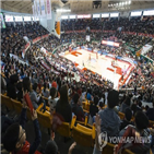 관중,평균,정규리그