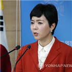 북한,태권도시범단,예술단,방북