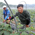 외국인,근로자,인력,지자체,배정,농촌,제도,인권침해,고용노동부,올해