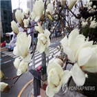 부산지방기상청