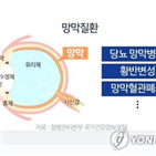 망막,패치,황반변성,시력,배아줄기세포,결과,중심부