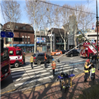 신호등,혜화동,서울