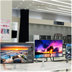 모니터,LG전자,시장