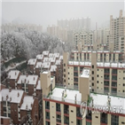 대구,하순,적설량