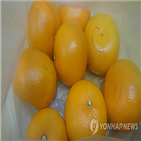 경미범죄심사위원회,마트,훈방,사회적