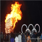 문화올림픽,올림픽,관람객,프로그램,성공