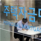 금리,인상,미국,포인트,전망