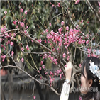 한옥마을,전주