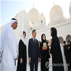 정상회담,대통령,왕세제,모하메드