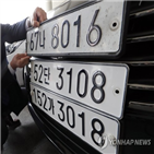 면제,현재,승용차,자동차