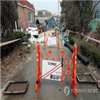 구제역,발생,국내