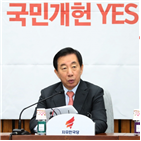 개헌안,대통령,민주당