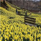 수선화,가옥,유기방,주변
