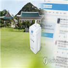 후보,라이브,대선,후보자,교류량,힐러리,페이스북