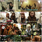 위키미키,방송,모해