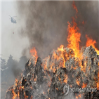 산불,위해,강원