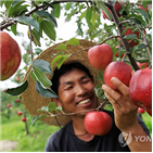 통합마케팅,법인,구축,공동마케팅