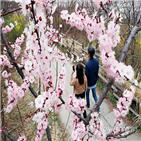 기온,구름조금,날씨,전망