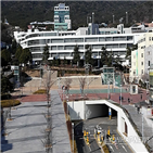 교수,여성,여학생