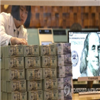 위반,외환거래법,외환거래,지난해,강화