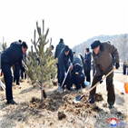나무,북한,아시아녹화기구,심기