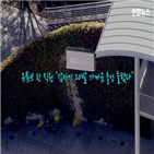 유튜브,본사,총격,사건,여성