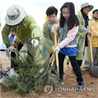 북한,나무,통일,묘목,위해,평화