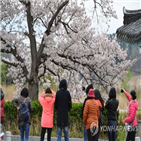 황사,기온,구름,구름조금