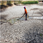 가축,베트남,가뭄