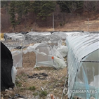 강원,시설물,오후