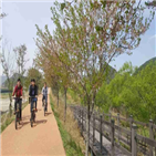 자전거,전기자전거